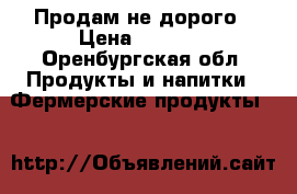 Продам не дорого › Цена ­ 1 000 - Оренбургская обл. Продукты и напитки » Фермерские продукты   